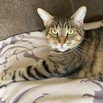 Thumbnail photo of No name #3