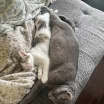 Thumbnail photo of Cash #2