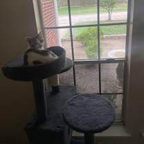 Thumbnail photo of Cash #3