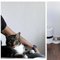 Thumbnail photo of Waffle #2