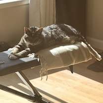 Thumbnail photo of Waffle #3