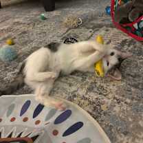 Thumbnail photo of Bitna #1