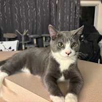 Thumbnail photo of Garnacho #1