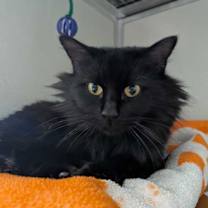 Thumbnail photo of Delia #1