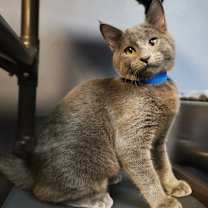 Thumbnail photo of Jacob #1