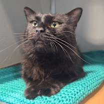 Thumbnail photo of Delia #3