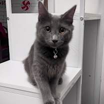 Thumbnail photo of Gumball #2