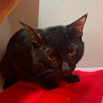 Thumbnail photo of Macky #3