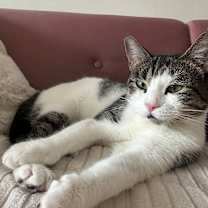 Thumbnail photo of Coraline #3