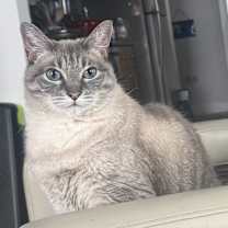 Thumbnail photo of Ponyo #1