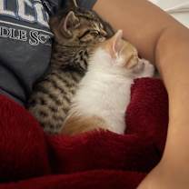 Thumbnail photo of Butters #2