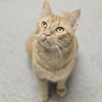 Thumbnail photo of Jazmin #2