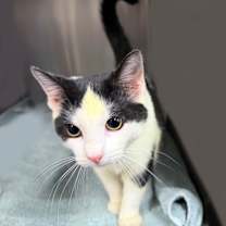 Thumbnail photo of Holly #3