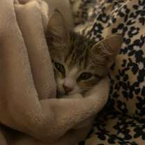 Thumbnail photo of Carol #3