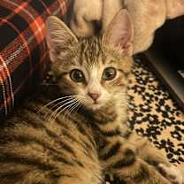 Thumbnail photo of Carol #4