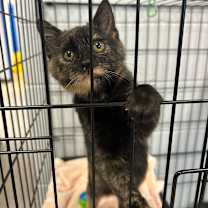 Thumbnail photo of Holly Pauline #2