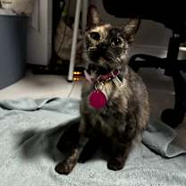 Thumbnail photo of Lucy #3