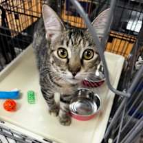 Thumbnail photo of Aunt Lydia #1