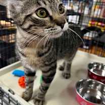 Thumbnail photo of Aunt Lydia #3