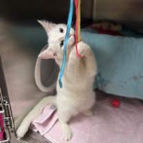 Thumbnail photo of Iceberg #2