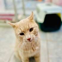 Thumbnail photo of Sheetz  #2