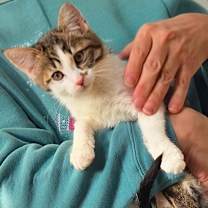 Thumbnail photo of Gumball #1