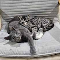 Thumbnail photo of Maverick #3