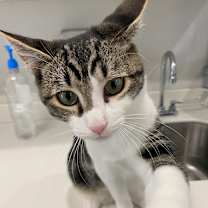 Thumbnail photo of Jeremy #1