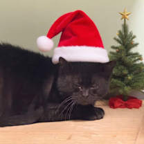 Thumbnail photo of Esme #1