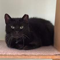 Thumbnail photo of Esme #4