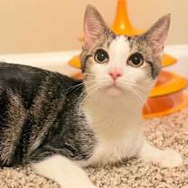 Thumbnail photo of Fred #1