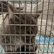 Thumbnail photo of Nanny #4