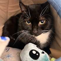 Thumbnail photo of Glenn #1