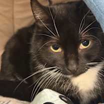 Thumbnail photo of Glenn #2