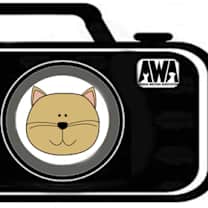 Thumbnail photo of Glenn #3