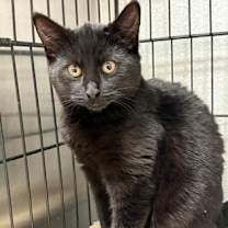 Thumbnail photo of Gumdrop #2