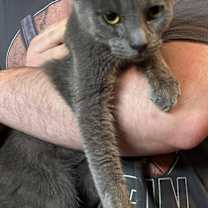 Thumbnail photo of Laverne #1