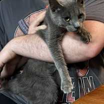 Thumbnail photo of Laverne #2