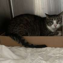 Thumbnail photo of Bujulito (leeto) #4