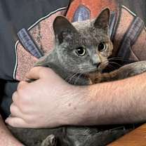 Thumbnail photo of Shirley #1