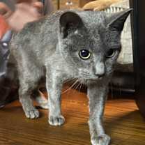 Thumbnail photo of Shirley #2