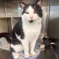 Thumbnail photo of Lawrence #3