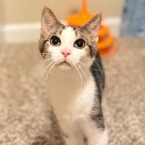 Thumbnail photo of Fred #2