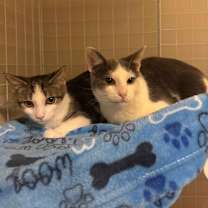 Thumbnail photo of Fred #3