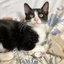 Thumbnail photo of Cynthia #2