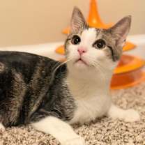 Thumbnail photo of Fred #4