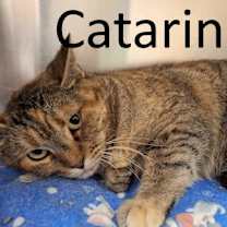 Thumbnail photo of Catarina #2