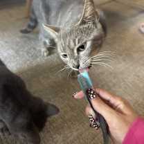 Thumbnail photo of Stormi #2