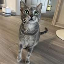 Thumbnail photo of Stormi #3