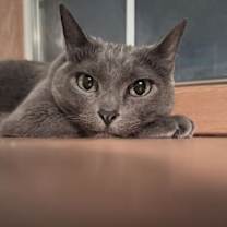 Thumbnail photo of Esther #1